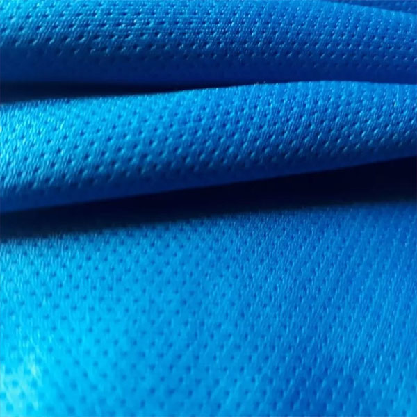 Needle point fabric