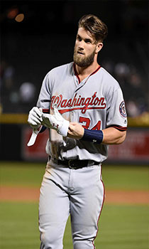 Baseball Player Picture